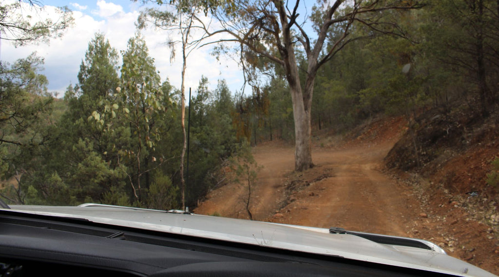 A FOUR WHEEL DRIVE BONNET SHOWN FROM THE DRIVERS VIEW GOING DOWN A DIRT ROAD IN THE BUSH.