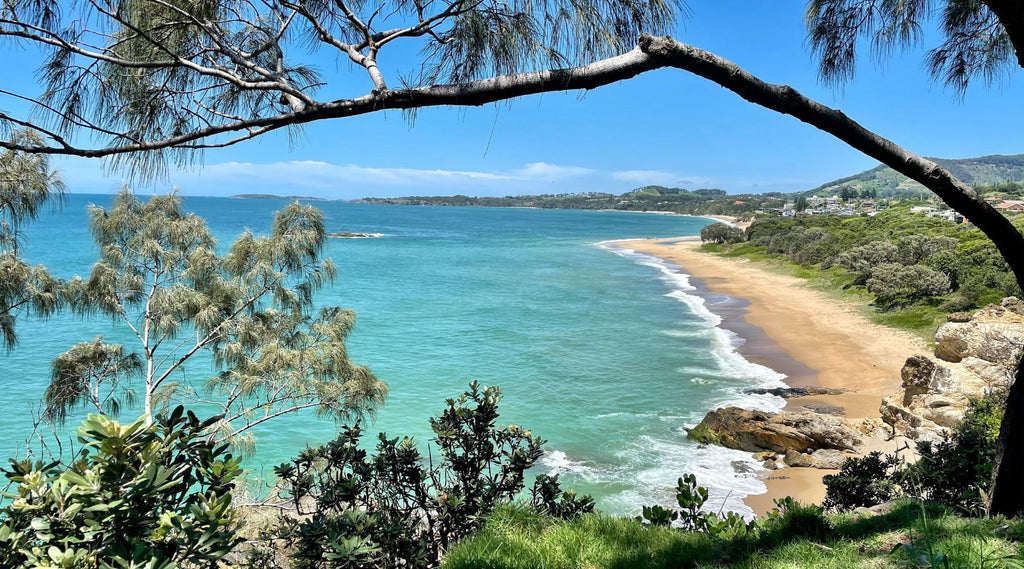 Sealy Lookout at Coffs Harbour