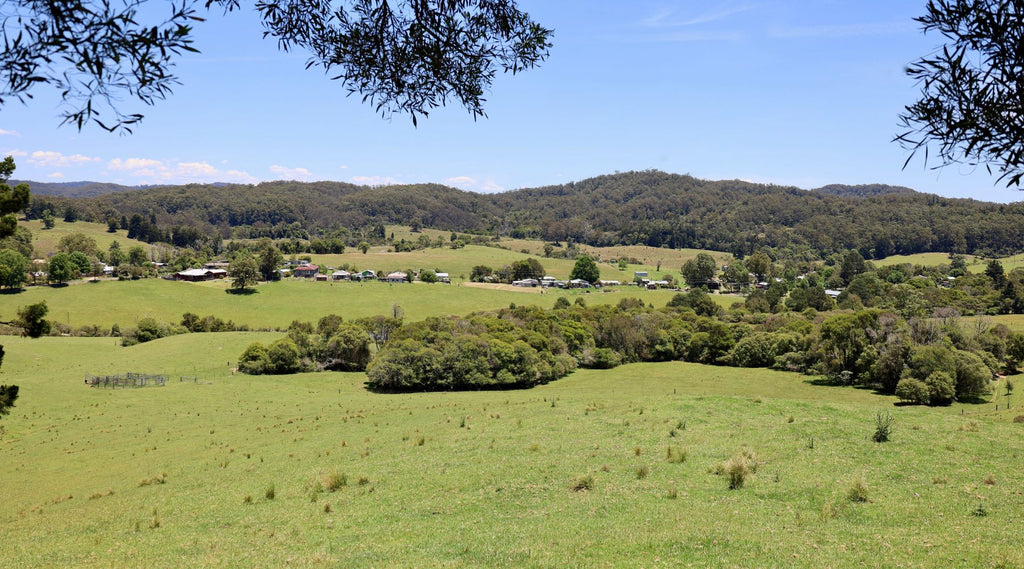 COFFS HARBOUR HINTERLAND