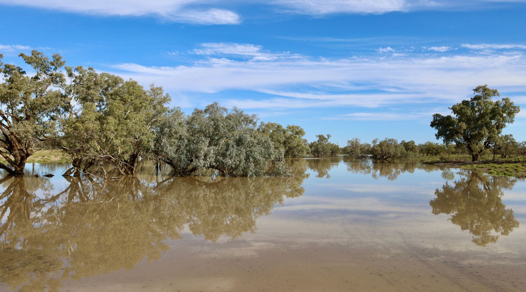 DARLING RIVER FLOODING WOOLGOOLGA OFFROAD.jpg