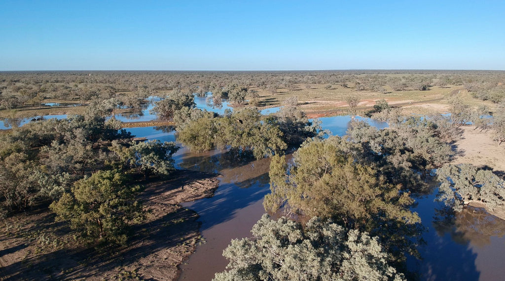 DARLING RIVER TRIBUTRIES WOOLGOOLGA OFFROAD