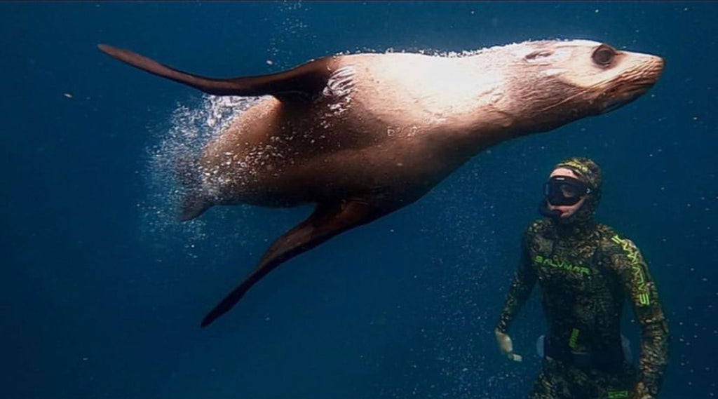 SEAL AND DYLAN FROM WOEBEGONE FREEDIVE UNDERWATER