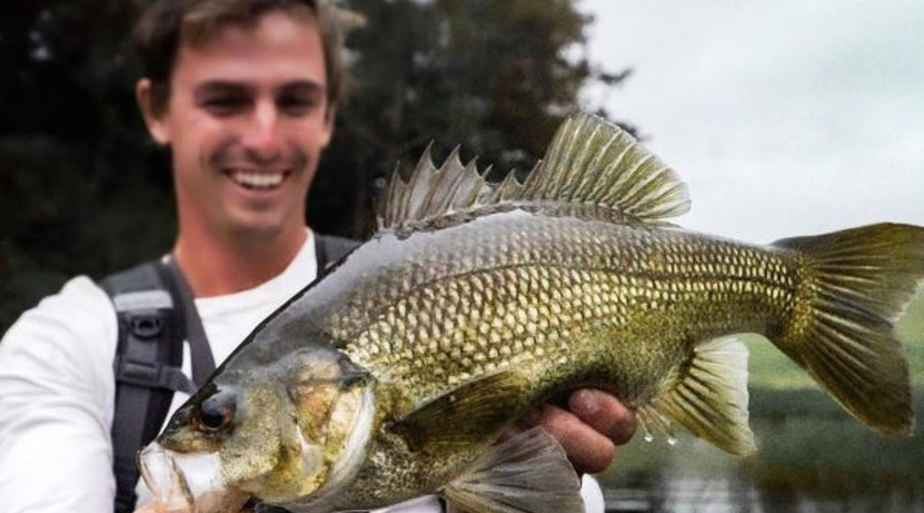 TIMMY TURTLE HOLDING A FISH WEARING A NORTH STORM WATERPROOF BACKPACK