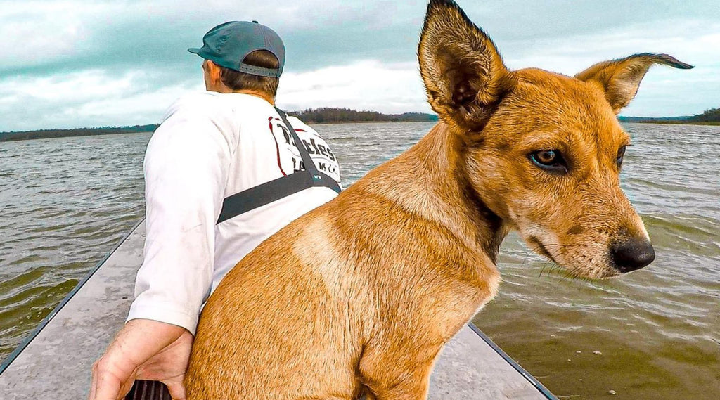 TIMMY TURTLE ON HIS SKIFF WITH HIS DOG MILLIE