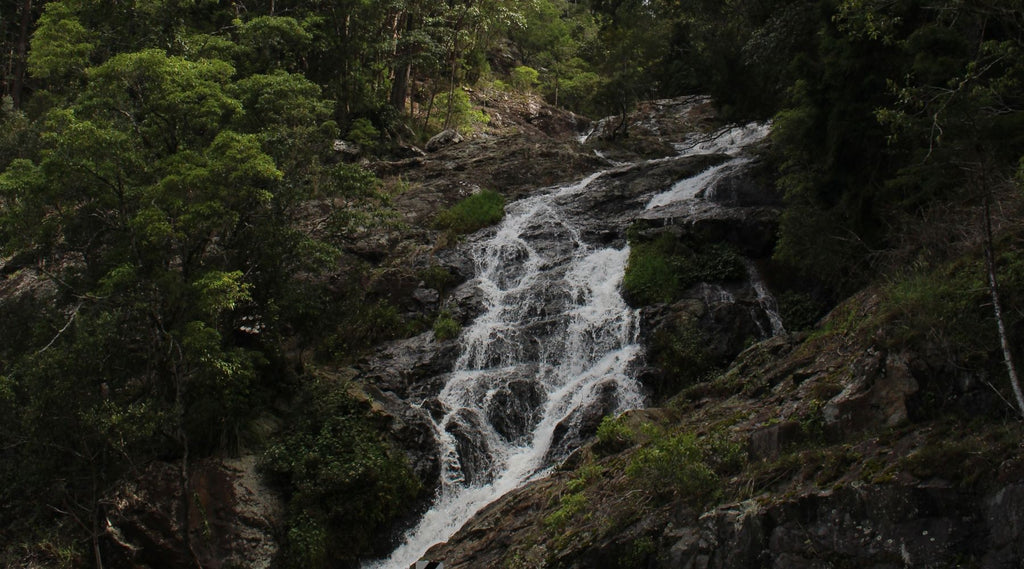 Waterfall at Coffs Harbour.