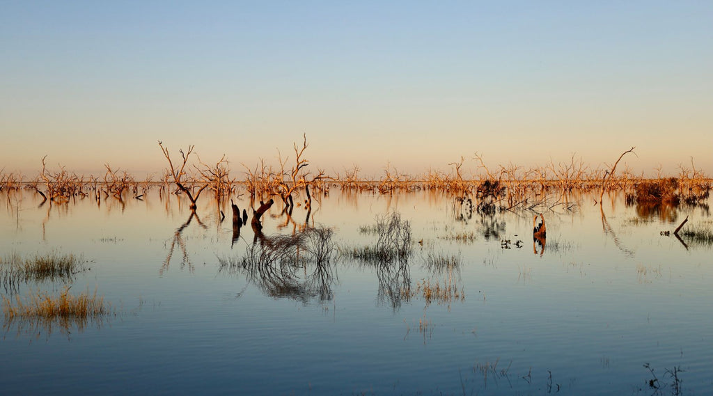 SUNSET OVER LAKE PAMAMAROO