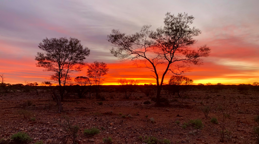 Golden sunset in the outback of Western Australia