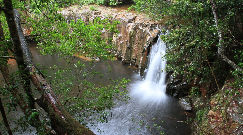 Waitu Falls Coffs Harbour