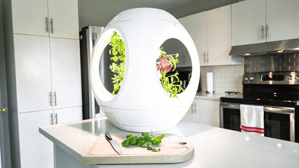 Rejuvenate Smart Indoor Garden on a kitchen counter