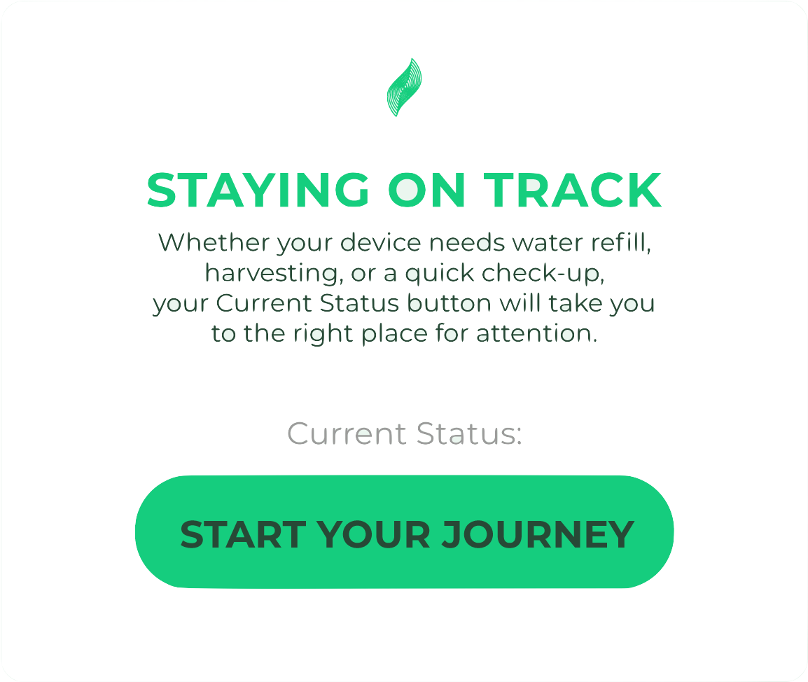 current status in app for staying on track