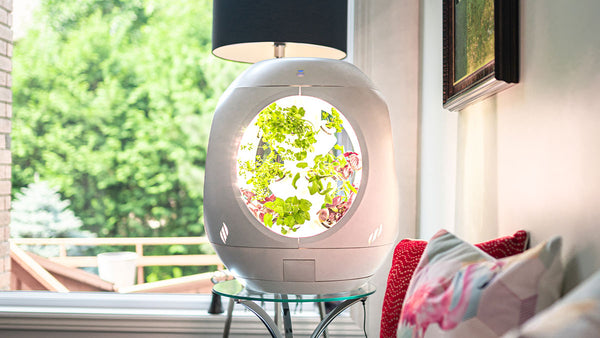 Rejuvenate Smart Indoor Garden in a living room