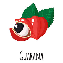 Guarana