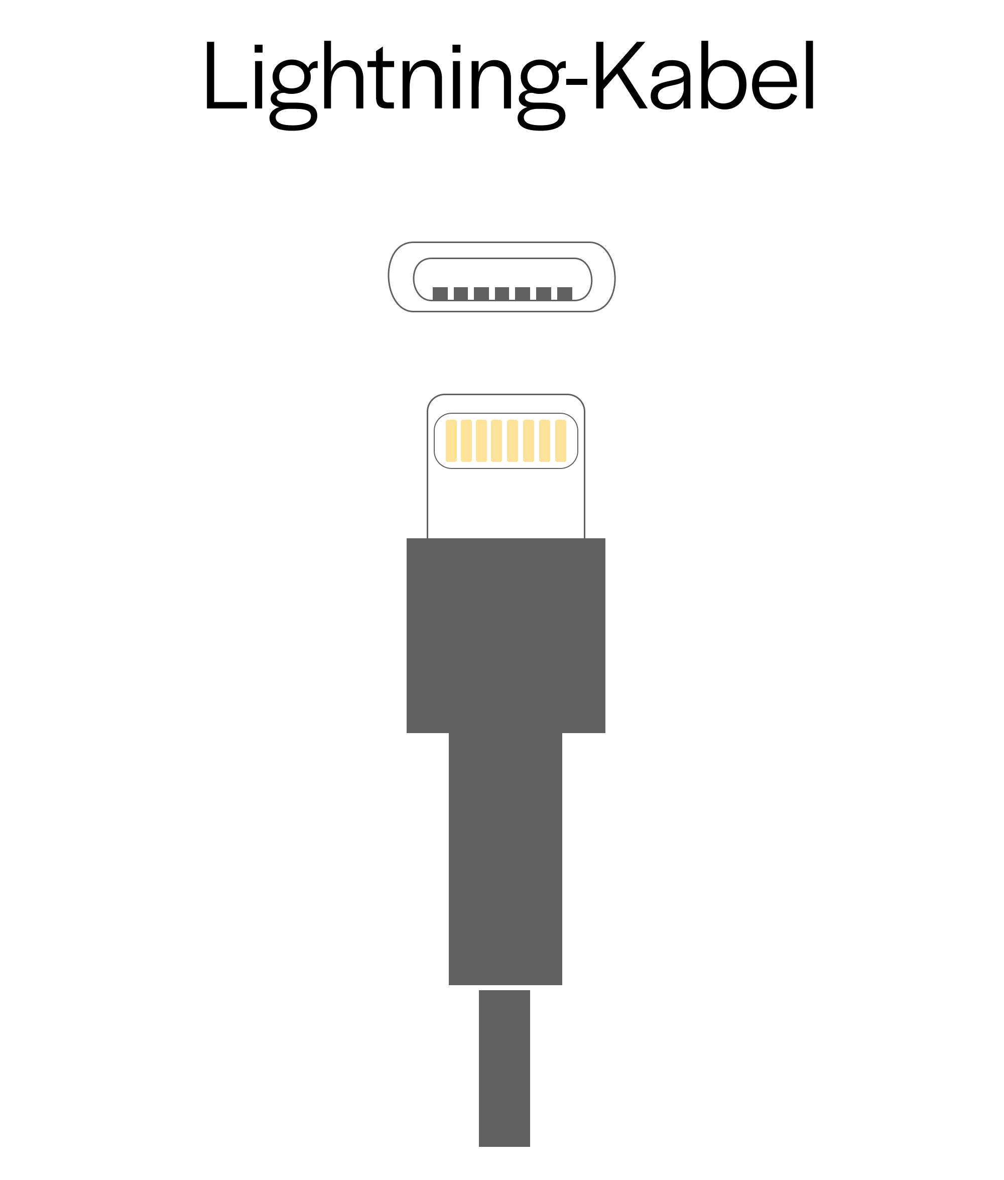 Darstellung eines Lightning-Steckers mit Anschluss-Pins