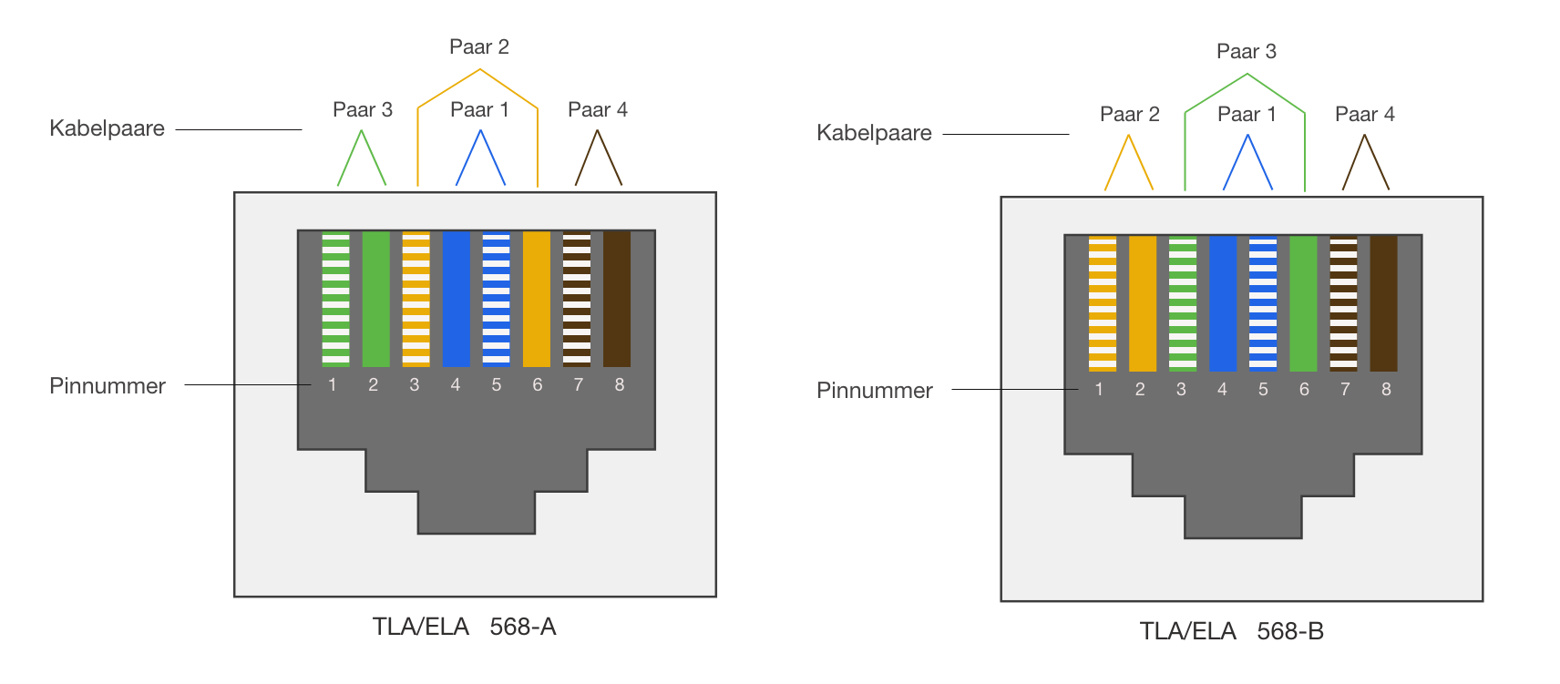 Der ultimative Guide zur RJ45 Netzwerkstecker Belegung – wirelex