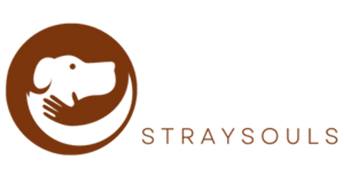 StraySouls.de