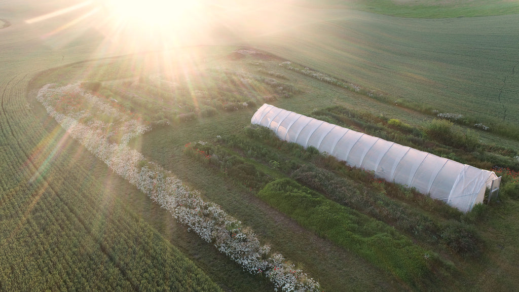 An aerial view of Smoot's Flavor Farm