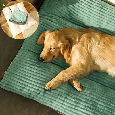 coussin-chien-xxl-repos