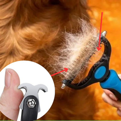 peigne-pour-chien-rayures