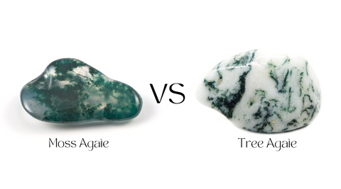 Moss Agate vs Tree Agate: What is the difference? – Lucky Moon Crystal Bar