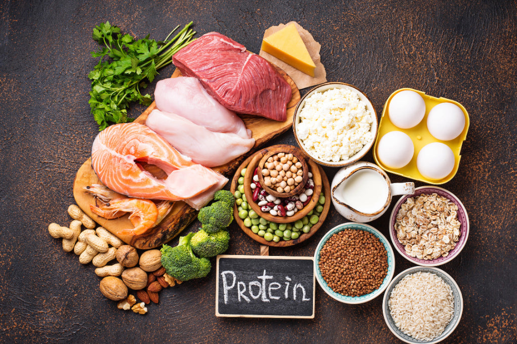 Variety of high-protein foods including meat, fish, eggs, dairy, beans, and nuts for gout-friendly diet planning