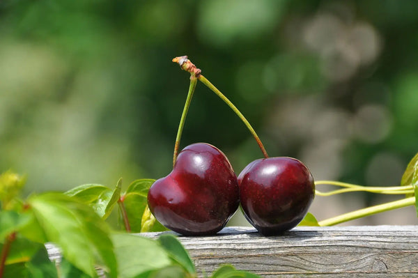 Cherries, particularly tart cherries, have been shown to lower serum uric acid levels and reduce inflammation.