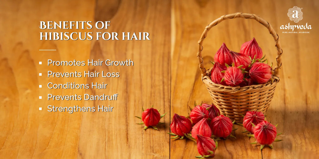 Benefits of Hibiscus for Hair - Ashpveda