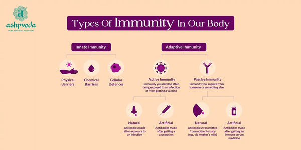 Different Types of Immunity In Human Body - Ashpveda