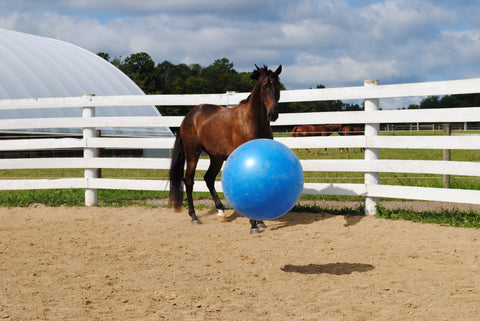 Horse with Jolly Mega Ball