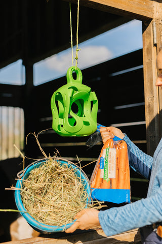 An empty green Jolly Hay Ball hanging in a stall window with Caitlin holding a bag of carrots and hay in front of it