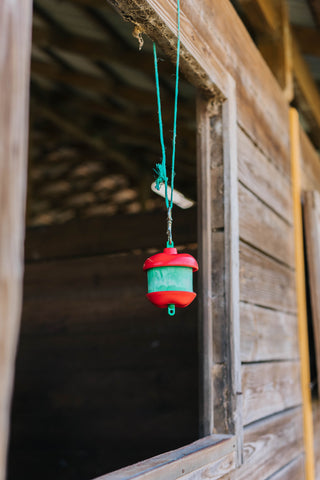 An apple flavored Jolly Stall Snack hanging in an open stall window