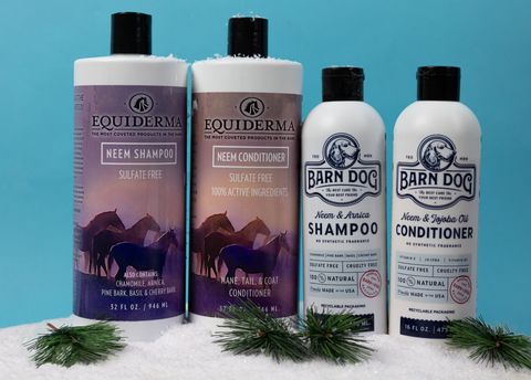 bottles of equiderma and barn dog shampoo and conditioner