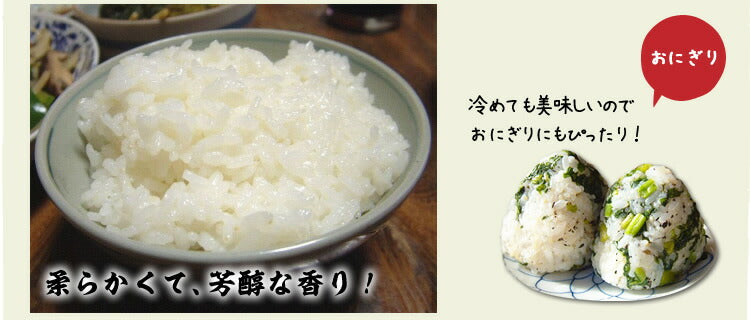 森本さんの魚沼こしひかり/白米 棚田米 令和5年産 幻の米 棚田米 沢水