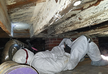 how to prevent mold in crawl space