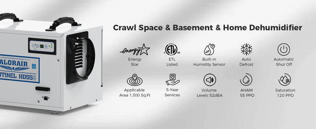 crawlspace dehumidifier with pump