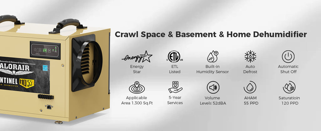 commercial dehumidifier for crawl space