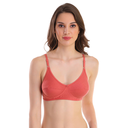 Pooja Ragenee MQ10MS Skin Bra 36B : : Home & Kitchen