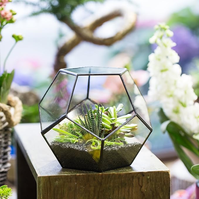 Black Glass Geometric Terrarium Container