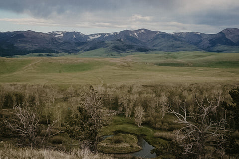 Willow trees and streams cut the valleys where pasturelands roll off the mountainsides along the Crazy Mountains.