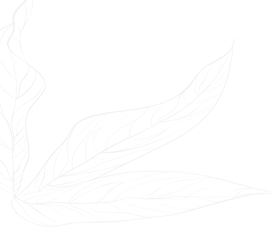decoration image