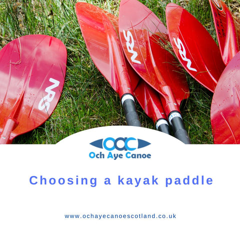 choosing a kayak paddle title holder with red paddles on grass in background
