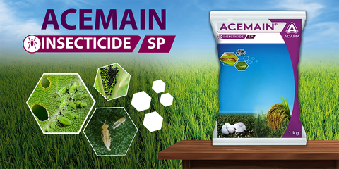 Adama Acemain Insecticide