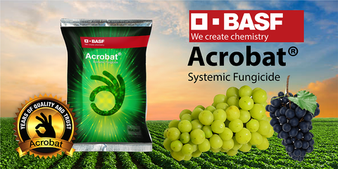 BASF Acrobat Fungicide