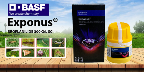 BASF Exponus Insecticide