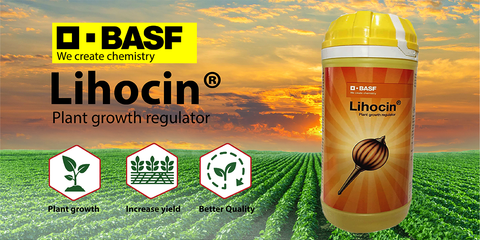 BASF Lihocin Growth Regulator