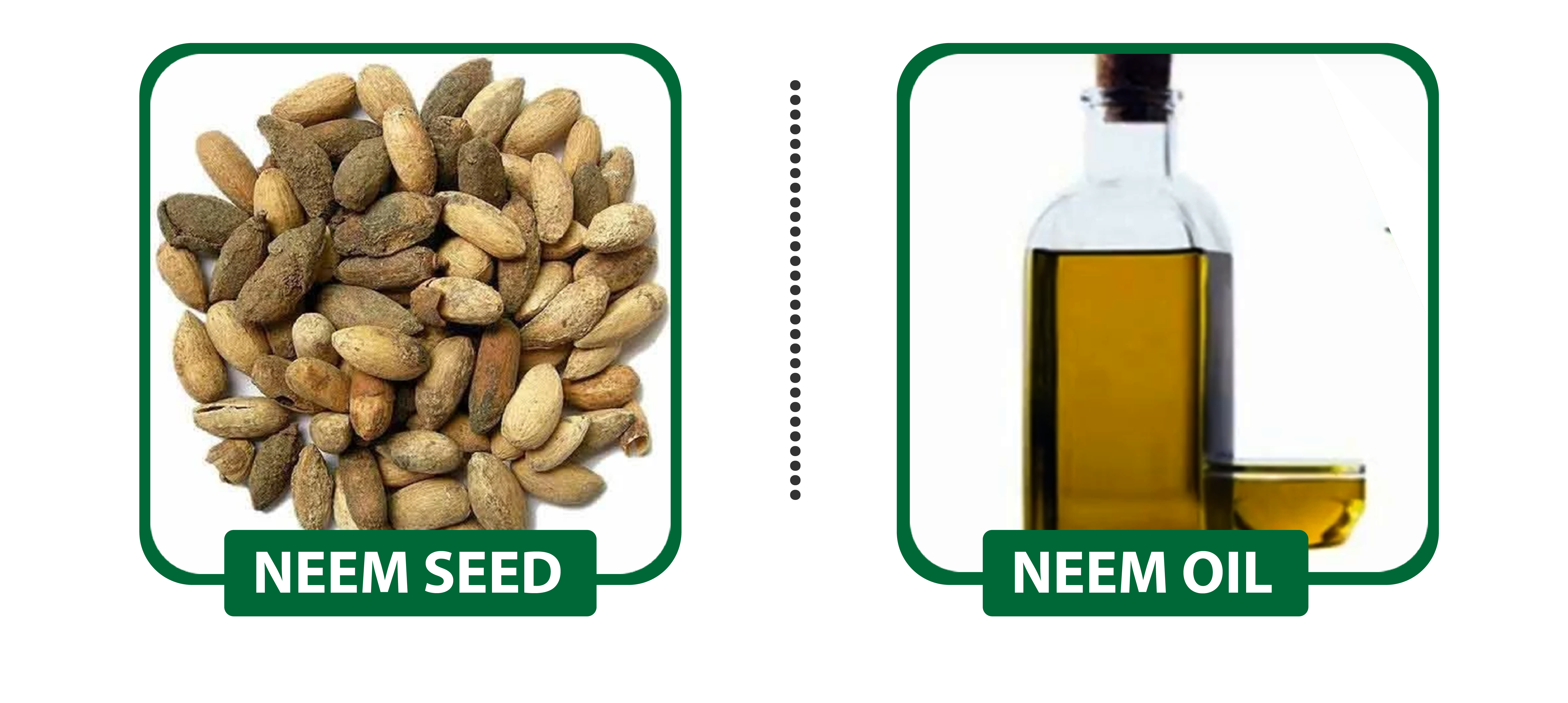 Neem Oil for plants