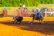 western, rodeo, cowboy, cowgirl, futurity, ranch rodeo, wagon races, family, friends, western way of life, 