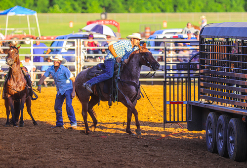 western, rodeo, cowboy, cowgirl, futurity, ranch rodeo, wagon races, family, friends, western way of life, 