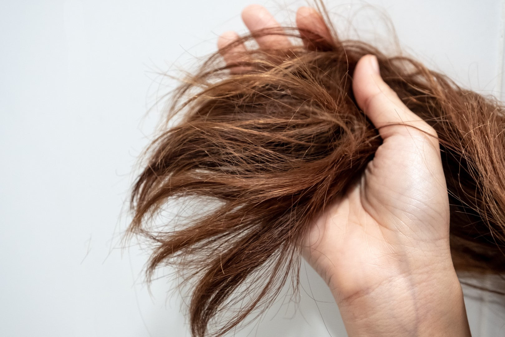 Signs you have dry hair