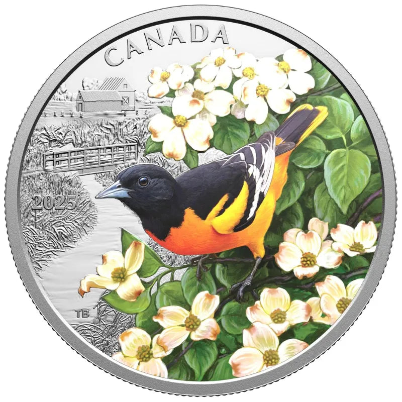 2025 FINE SILVER COIN COLOURFUL BIRDS: BALTIMORE ORIOLE Royal Canadian Mint