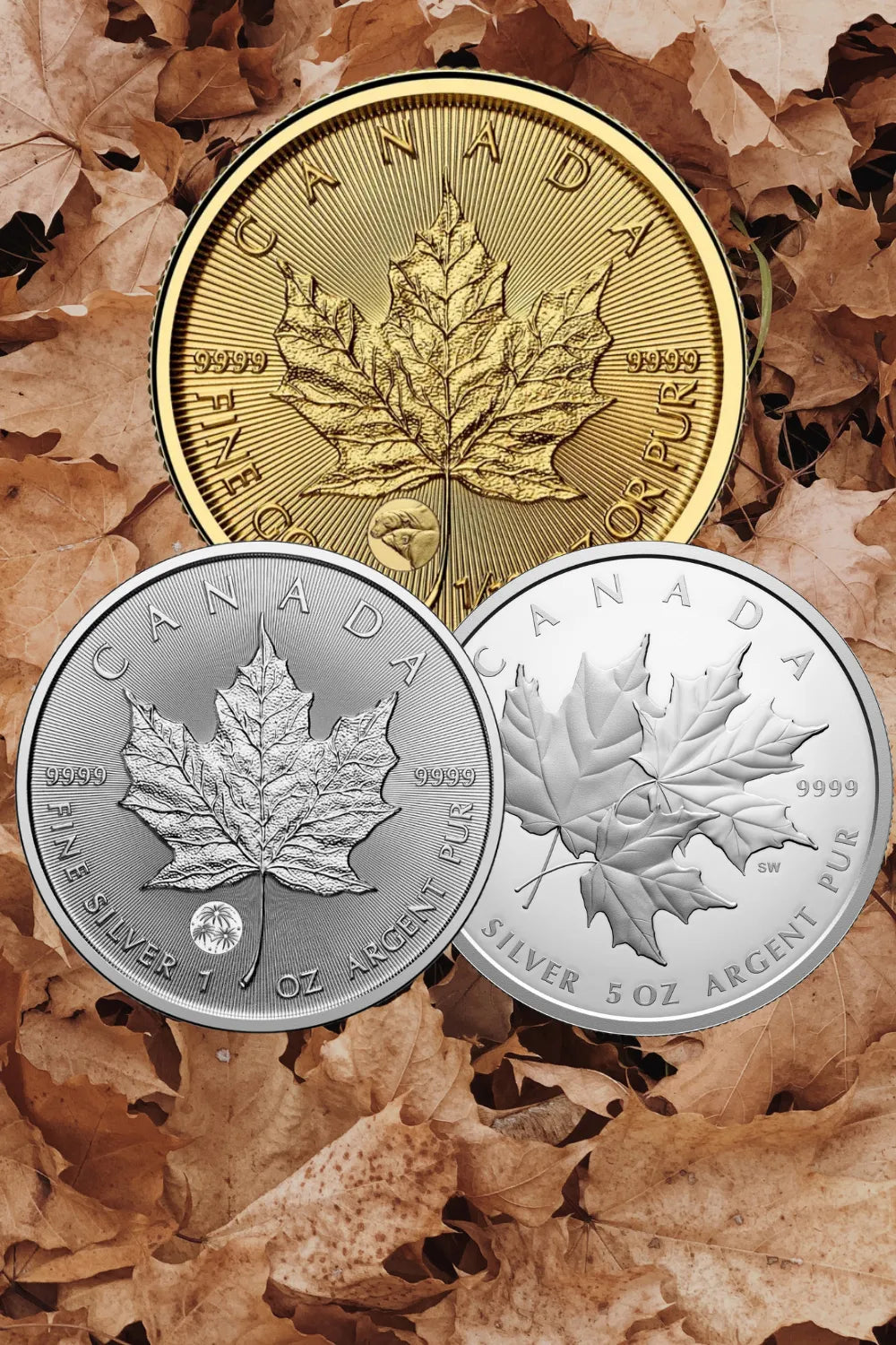 Maple Leaf